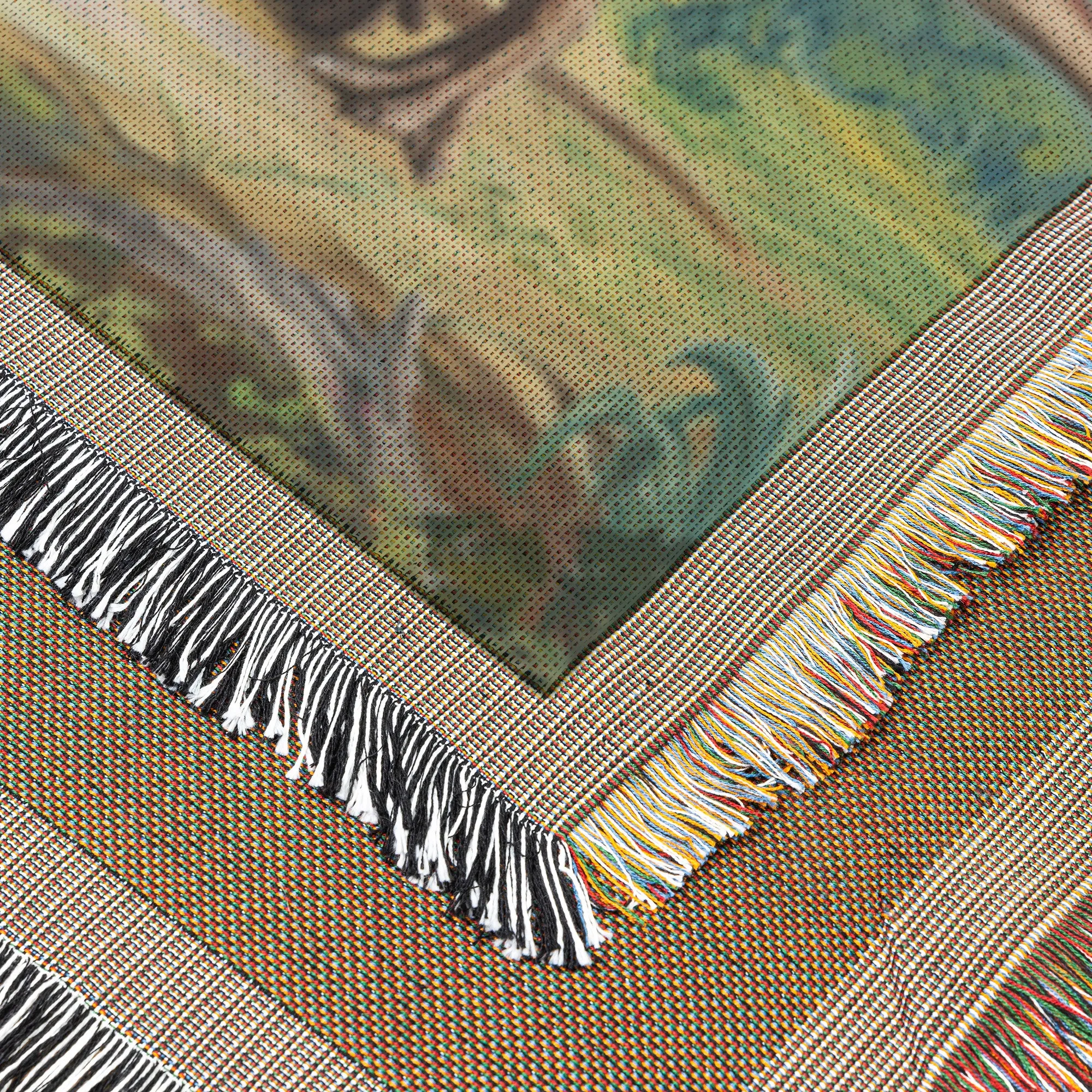 Jurassic Painting - Woven Dinosaur Blaket