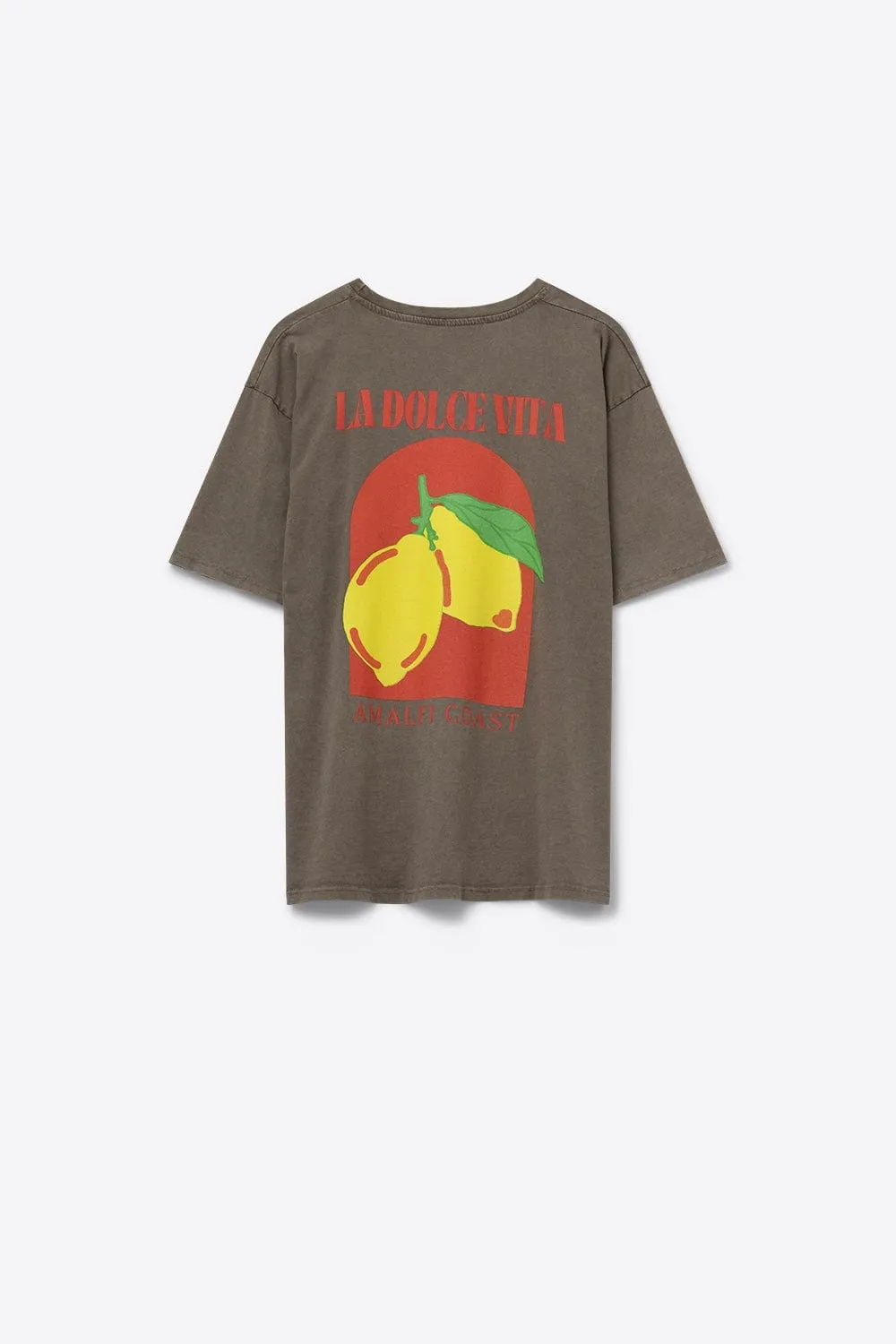 Relaxed Fit T-Shirt With La Dolce Vita Print In Light Brown