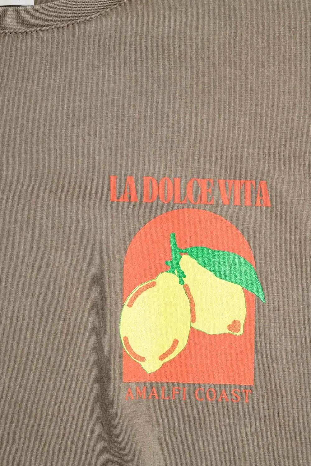 Relaxed Fit T-Shirt With La Dolce Vita Print In Light Brown