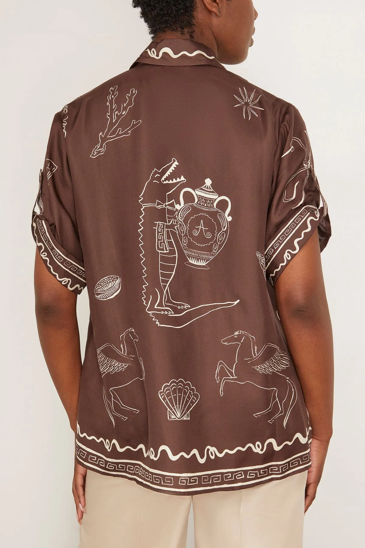 Sammy Silk Shirt in Chocolate